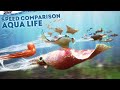 Speed comparison 3d  aqua life 