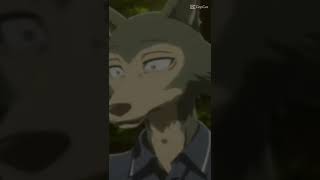 ||Beastars||   []✨ Legosi ✨[]     /Edit/       (capcut)