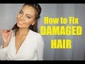 HOW TO REPAIR DAMAGED HAIR | OLAPLEX? | PRO TIPS! | Brittney Gray