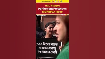 #watch | TMC Protests in Parliament Over MGNREGA #tmcprotest #tmc #mamatabanerjee #bjpvstmc #shorts