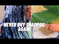 Homemade Aleo Vera Shampoo | For Massive Hair Growth!