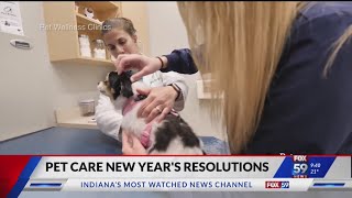 New Year Resolutions for Pet Care