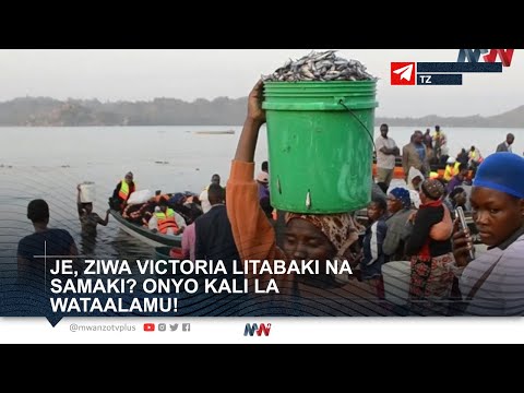 JE ZIWA VICTORIA LITABAKI NA SAMAKI ONYO KALI LA WATAALAMU SIKILIZA