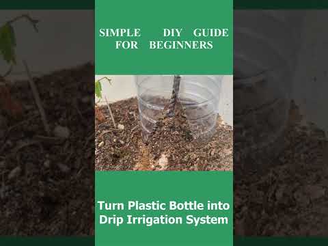 Video: Sistem penyiraman automatik tumbuhan dalaman. Bagaimana untuk membuat penyiraman automatik tumbuhan dalaman