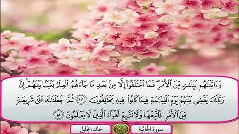 سورة الجاثيه للقارئ خالد الجليل - بدون إعلانات - surat el ghatheya