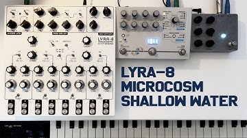 An improvisation on the Lyra 8 with the Microcosm and the Fairfield Circuitry Shallow Water pedal
