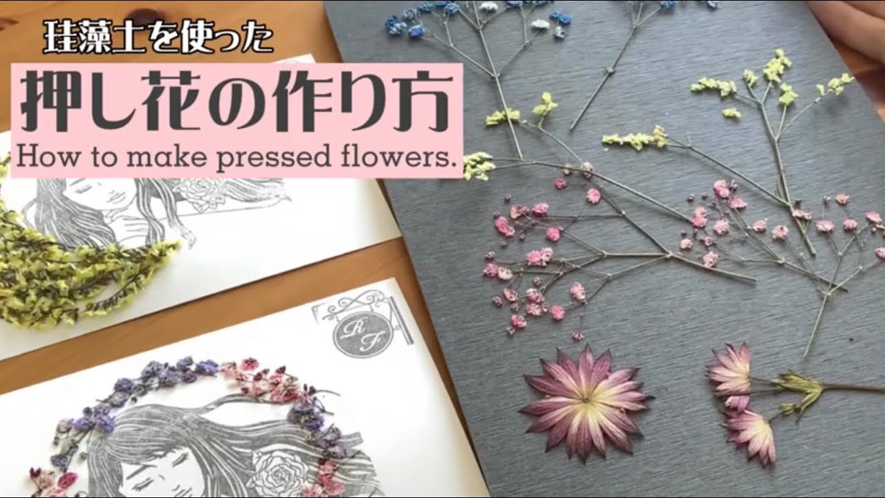 珪藻土を使った押し花の作り方 How To Make Pressed Flowers Youtube