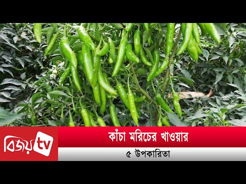 ভিডিও: ক্যাপসাইসিন কি মরিচ?