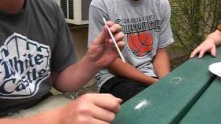 Larry Sugar Snorting