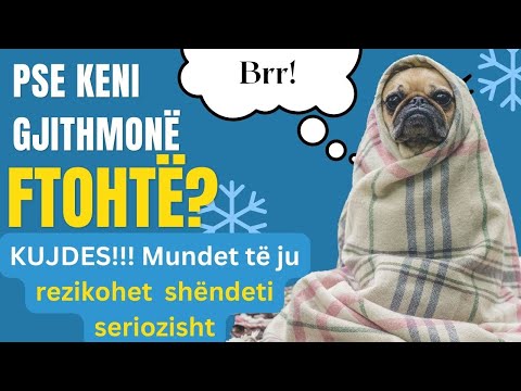 Video: A do të thotë sekretim?