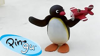 Flying With Pingu 🐧 | Pingu - Official Channel | Cartoons For Kids