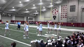 CRMS cheerleaders-extreme dance 2014