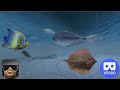 VR180 3D - Plentiful Rays and Fish at Monterey Bay Aquarium #vr180 #3d #montereybayaquarium #fish