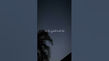 ﴿ أفمَن شرحَ اللّه صَدرهُ للإسلَٱم ﴾ #القارئ_ماهر_المعيقلي .