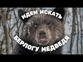 Идем искать берлогу медведя