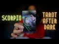 SCORPIO | IS THIS YOUR TWIN? WILL YOU BE REUNITED? | TAROT AFTER DARK