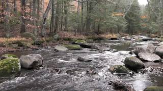 Thirty minutes of non-looping babbling brook to relieve the
restlessness in you. this video was recoded with hq stereo
microphones, and is best experienced u...