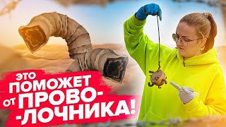 Проволочник Уйдет Навсегда! Как Бороться С Проволочником