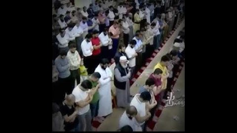 تلاوة في قمة الروعة