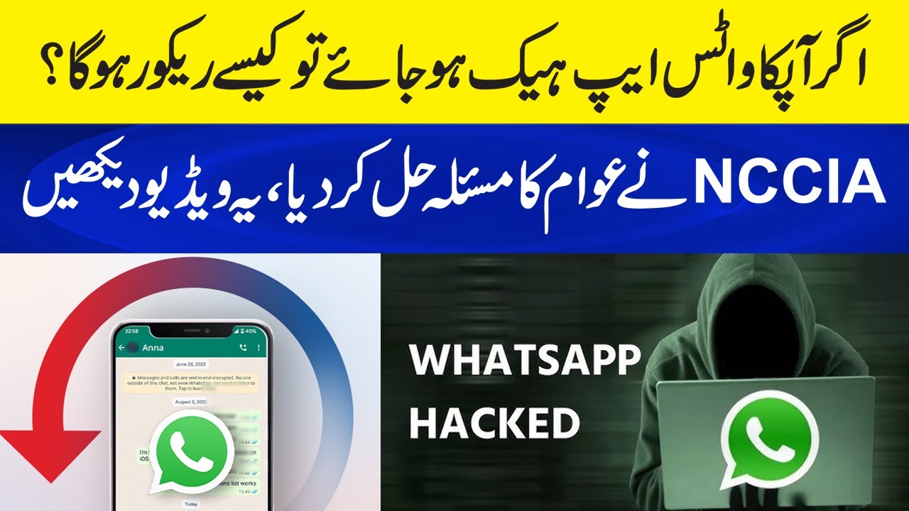 WhatsApp Hacked? Recover Your Account in Just 5 Minutes! | NCCIA Resolved Problem