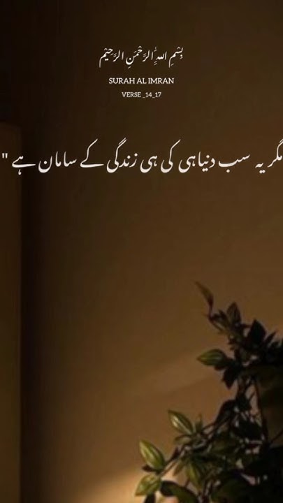 surat-al-imran-verse-14-17-urdu-translation-shorts-viral-status
