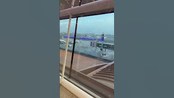 #ياسر_الدوسري #سورة_الاحزاب #قرآن_كريم #اكسبلور #المشيشي #المشي