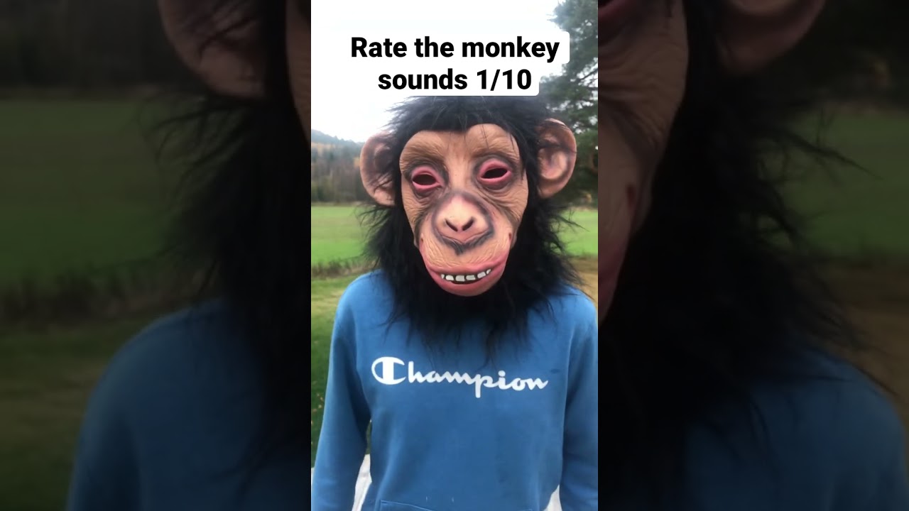Rate the monkey sounds 1/10