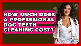 How Much Does A Professional Dog Teeth Cleaning Cost? - Ask A Pet Vet