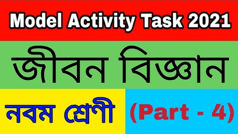 Model activity task class 9 life science part 4