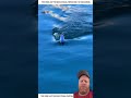 Unbelievable fishing technique #fish #shortsfeed #fishing #shorts #reels #feedshorts #youtubeshorts