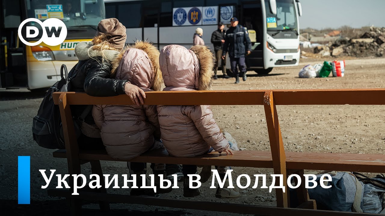 Украинцы в Молдове: от беженцев до предпринимателей