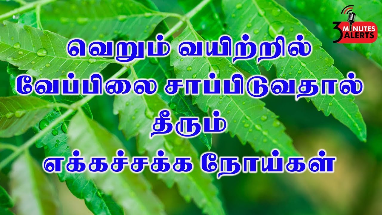 Diseases cured by eating neem on an empty stomach 3 Minutes alerts