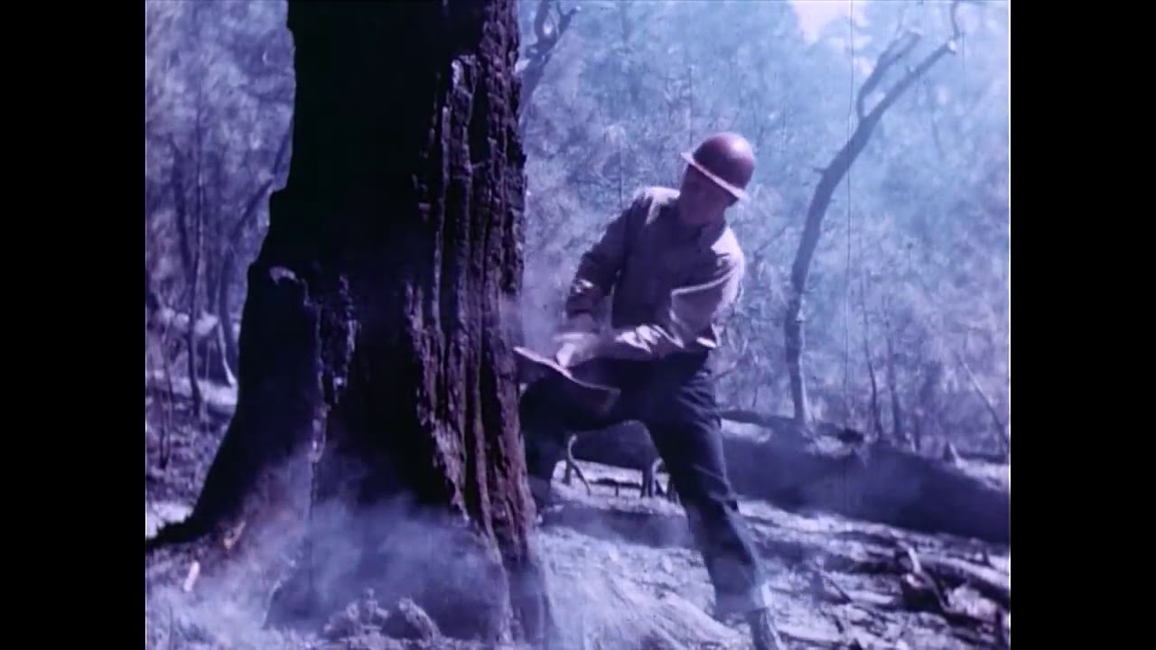 WFSTAR: Forest Smokechaser 1948 film re-edit