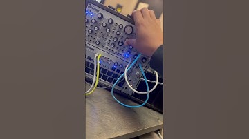 Cookin up melodies on the Lifeforms SV-1. #modular #eurorack #modtrap #synth