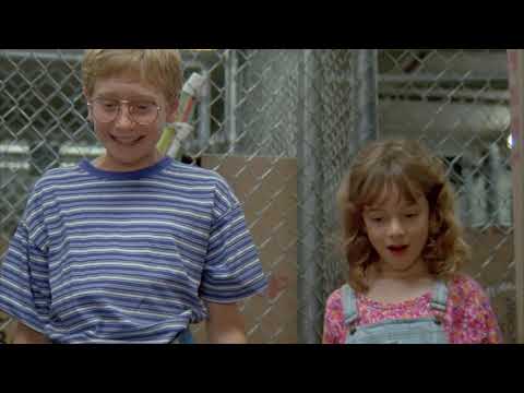 beethoven's 2nd (1993) - puppies!