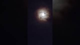 Can't fight the moonlight 🎶🌙