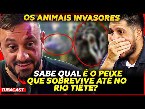 INVASIVE ANIMALS! With BIOLOGIST HENRIQUE