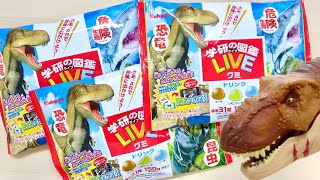 楽しく学べる 学研の図鑑LIVEグミ 恐竜・危険生物・昆虫