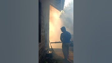 Thumbnail of fogging sarang nyamuk#shorts