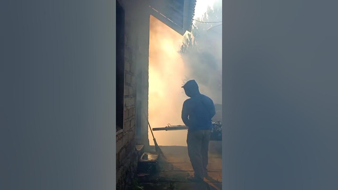 fogging sarang nyamuk#shorts