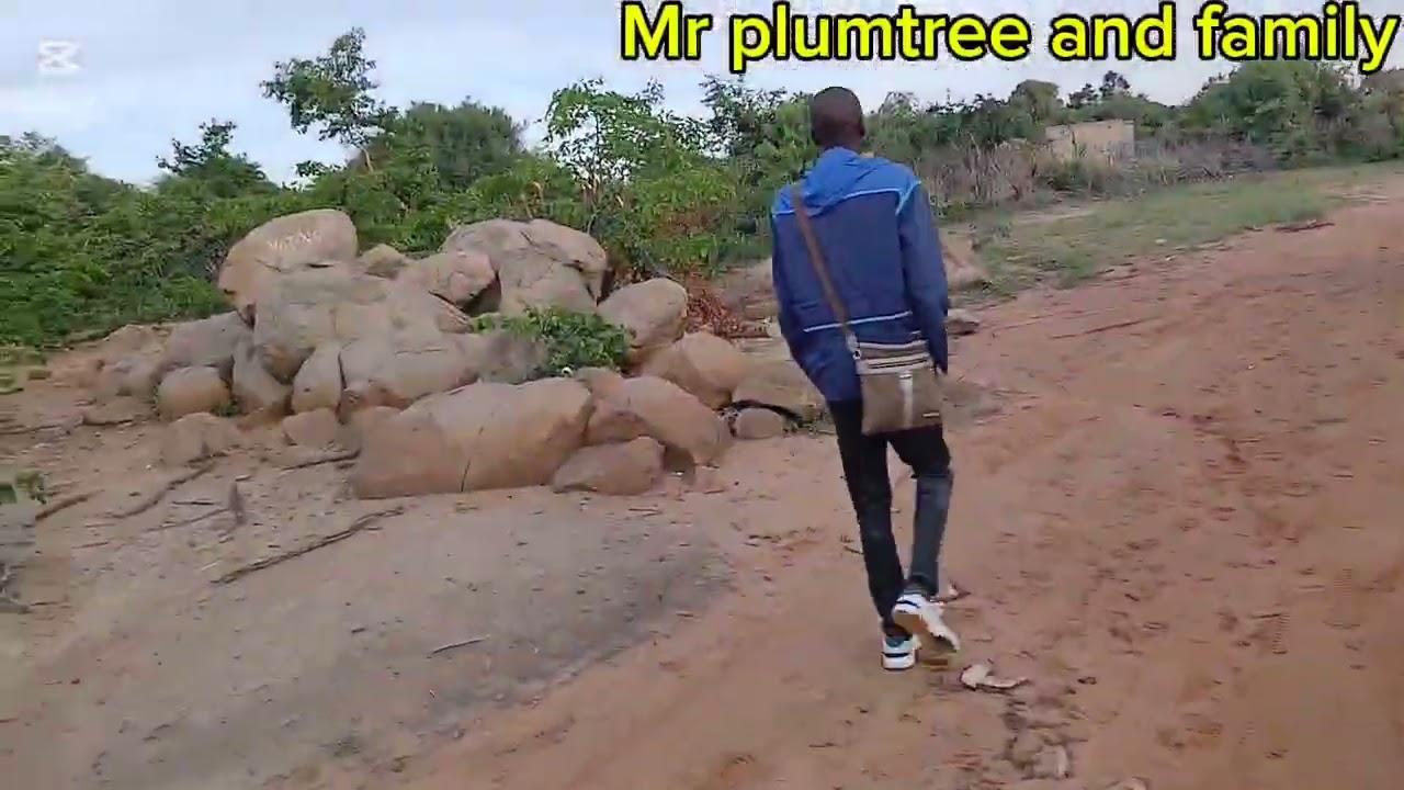 Давайте насладимся красотой нгваны.