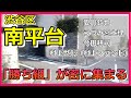樹木希林・内田裕也・愛川欽也・うつみ宮土理・村上世彰(村上ファンド)の豪邸がずらり【渋谷区南平台】 #豪邸ツアー  #芸能人の自宅 #豪邸ルームツアー #渋谷南平台の豪邸
