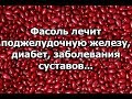 Фасоль лечит диабет, поджелудочную железу,, заболевания суставов