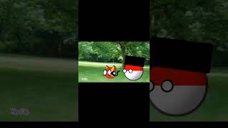 Adu Peliharaan A Hiburan