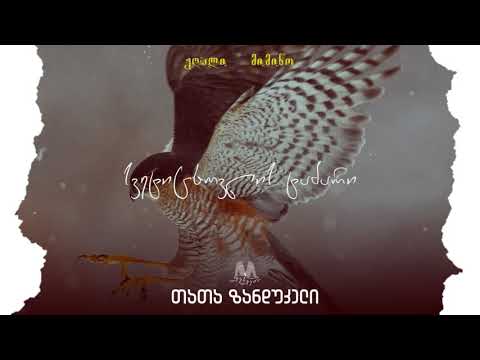 თათა ზანდუკელი - ჟღალი მიმინო