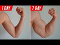 Build Arms in 7 DAYS ! ( Home Exercises )