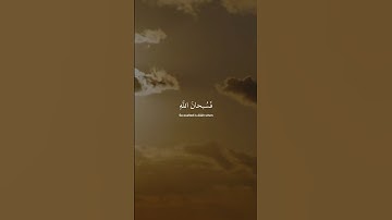 فسبحان الله حين تمسون وحين تصبحون|| القارئ:عبدالرحمن مسعد