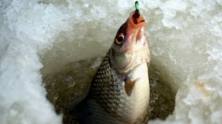 Рыбалка в Весьегонске 2013.Часть 1