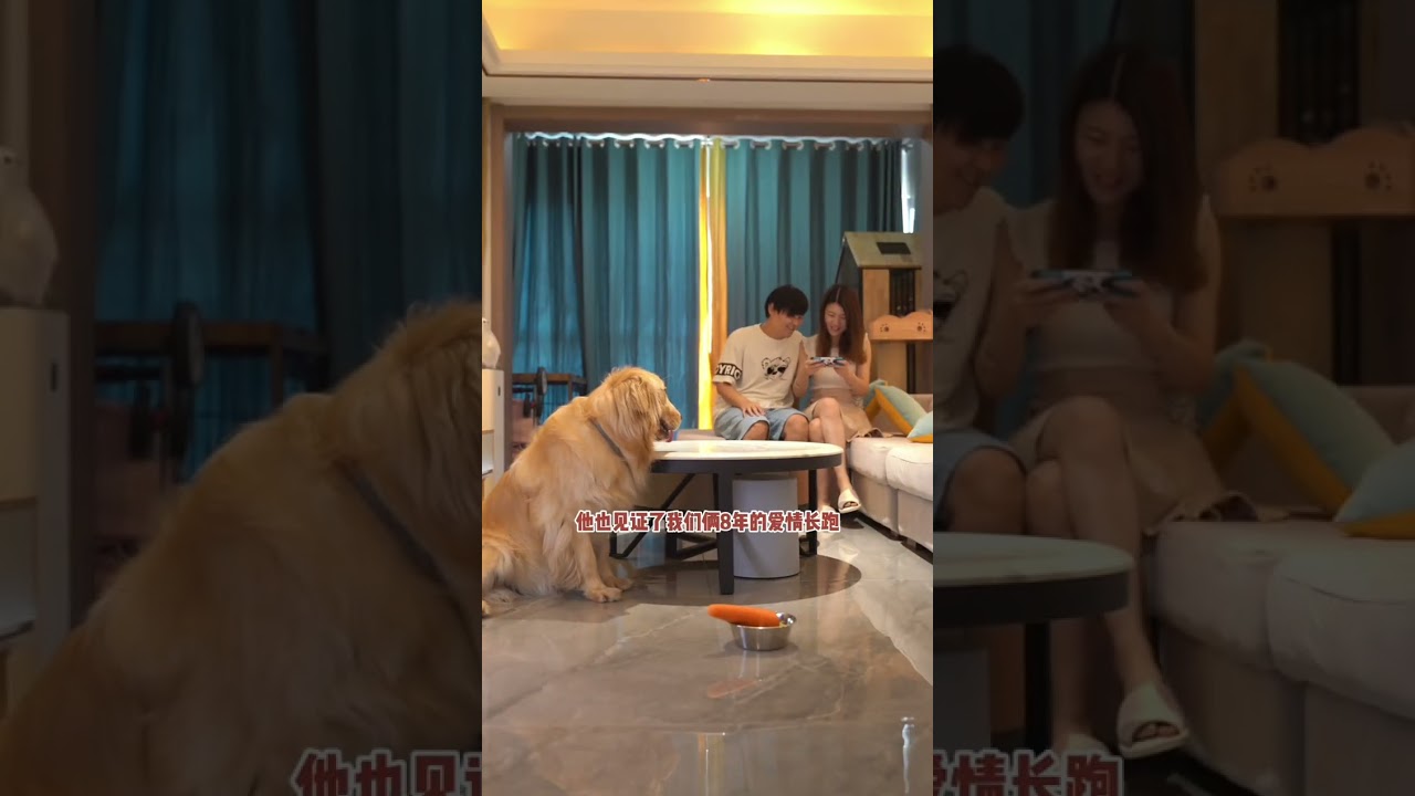 A dog s life is very short. If science can t explain it it must be because of their love D