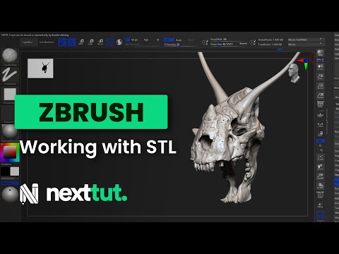 how to import an stl into zbrush